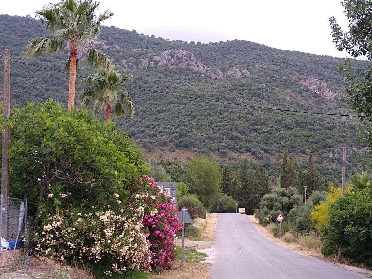Penzion El Antiguo Molino El Bosque Exteriér fotografie