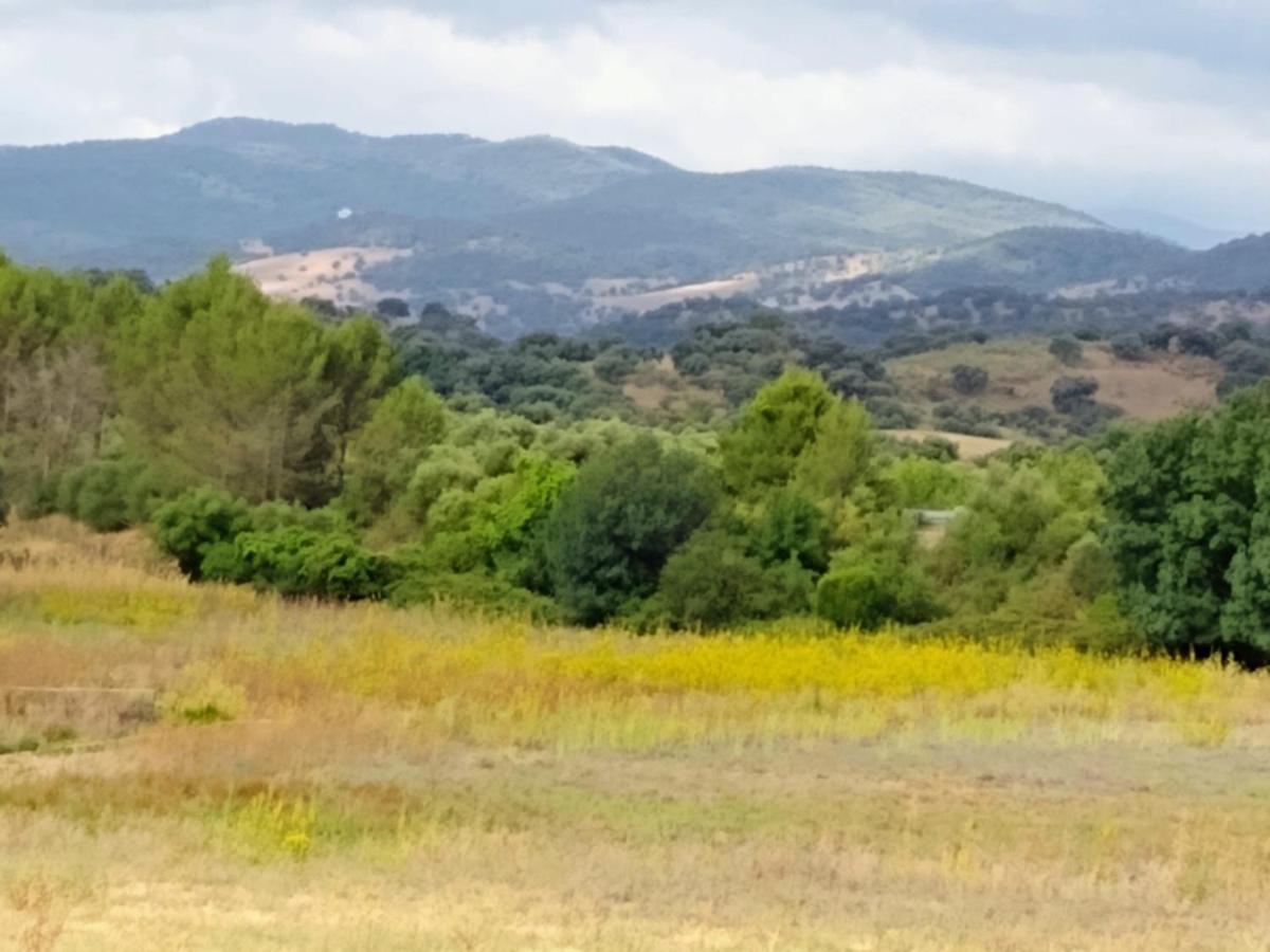 Penzion El Antiguo Molino El Bosque Exteriér fotografie