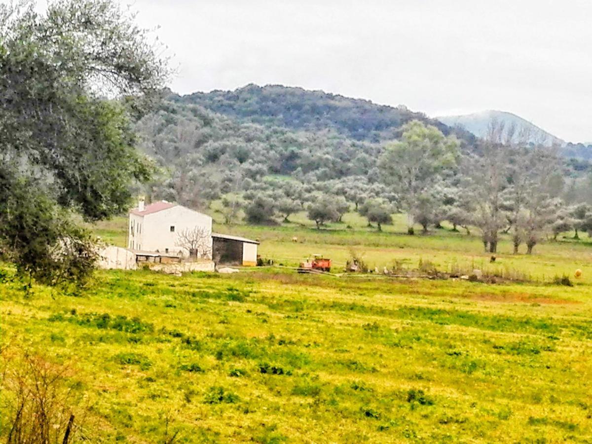 Penzion El Antiguo Molino El Bosque Exteriér fotografie