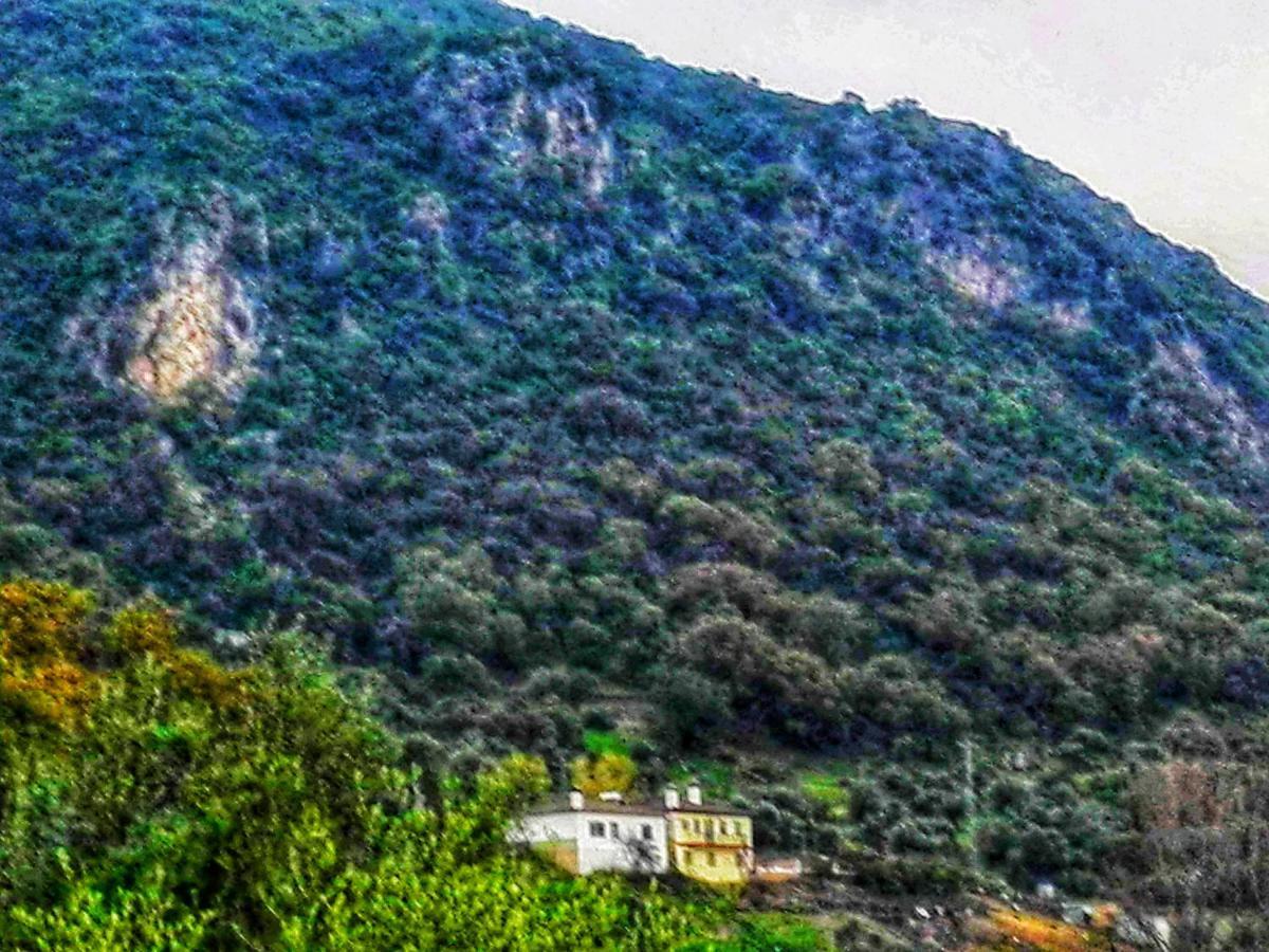 Penzion El Antiguo Molino El Bosque Exteriér fotografie
