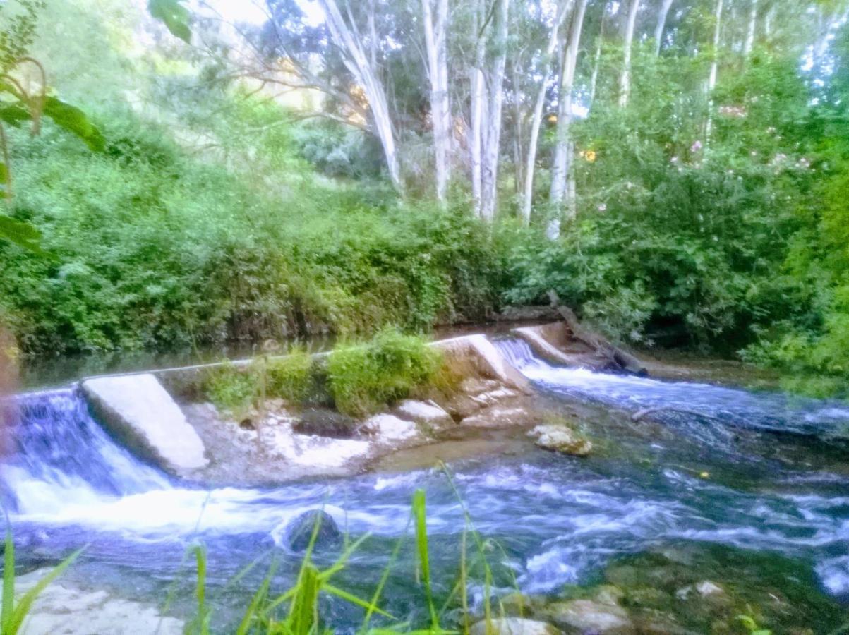 Penzion El Antiguo Molino El Bosque Exteriér fotografie
